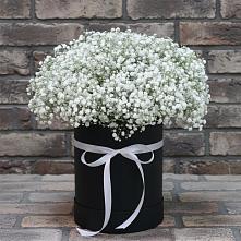 Цветочная композиция из Гипсофила в шляпной коробке в Иншинский