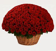 Премиум букет из: Розы в Иншинский